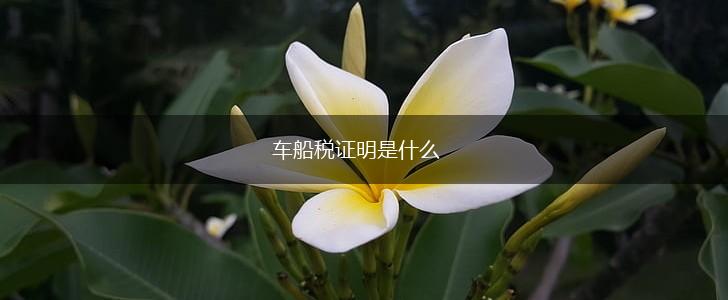 车船税证明是什么,第1张
