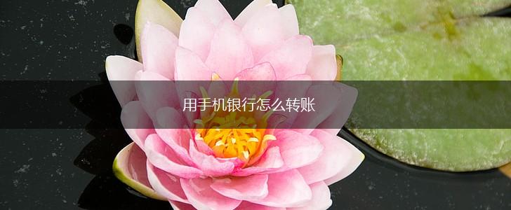 用手机银行怎么转账,第1张