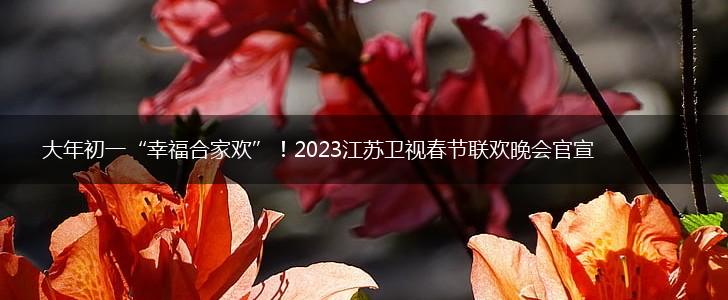 大年初一“幸福合家欢”！2023江苏卫视春节联欢晚会官宣,第1张