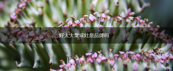 好太太集成灶是品牌吗,第1张