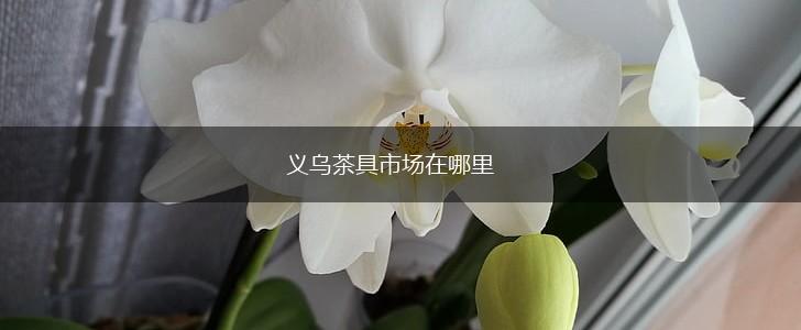 义乌茶具市场在哪里,第1张