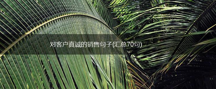 对客户真诚的销售句子(汇总70句),第1张