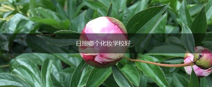 日照哪个化妆学校好,第1张