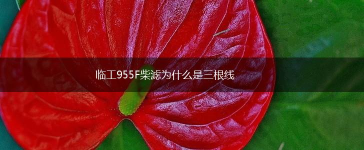 临工955F柴滤为什么是三根线,第1张