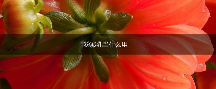 粉凝乳当什么用,第1张