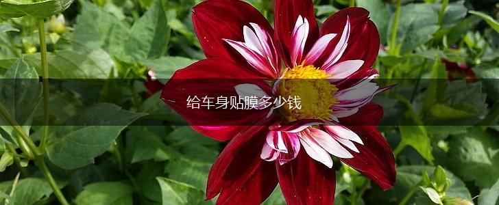 给车身贴膜多少钱,第1张