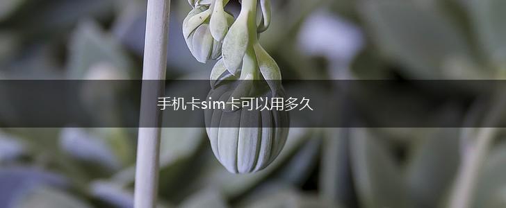 手机卡sim卡可以用多久,第1张