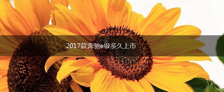 2017款奔驰e级多久上市,第1张