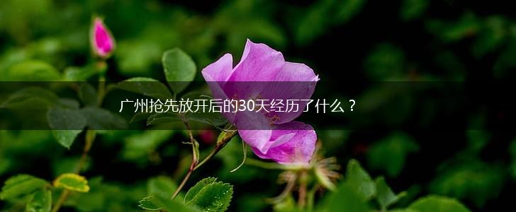 广州抢先放开后的30天经历了什么？,第1张