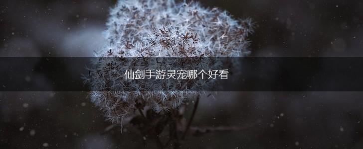 仙剑手游灵宠哪个好看,第1张