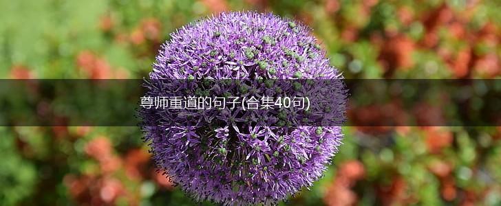 尊师重道的句子(合集40句),第1张