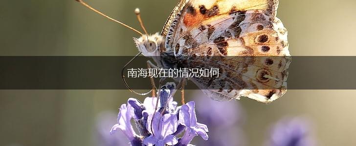南海现在的情况如何,第1张