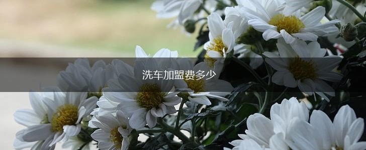 洗车加盟费多少,第1张
