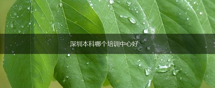 深圳本科哪个培训中心好,第1张