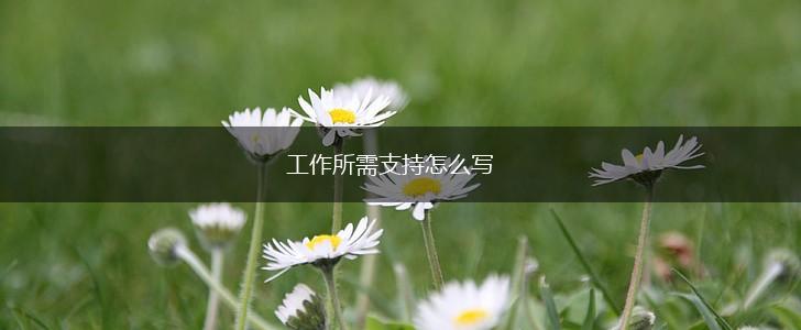 工作所需支持怎么写,第1张
