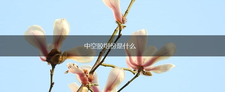 中空胶组份是什么,第1张