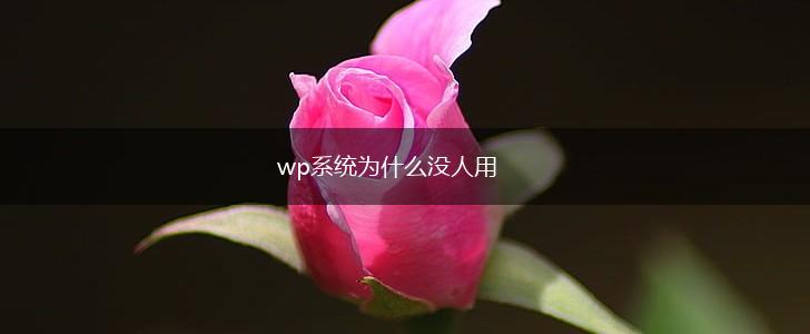 wp系统为什么没人用,第1张