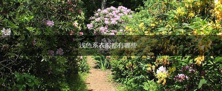 浅色系衣服都有哪些,第1张