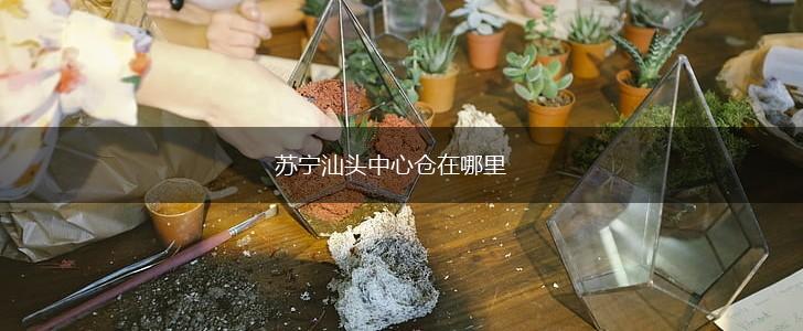 苏宁汕头中心仓在哪里,第1张