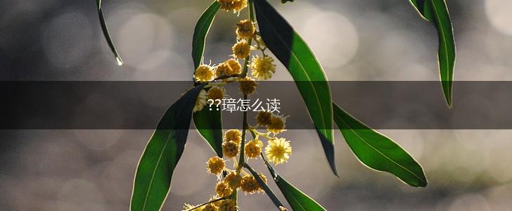 ??璋怎么读,第1张