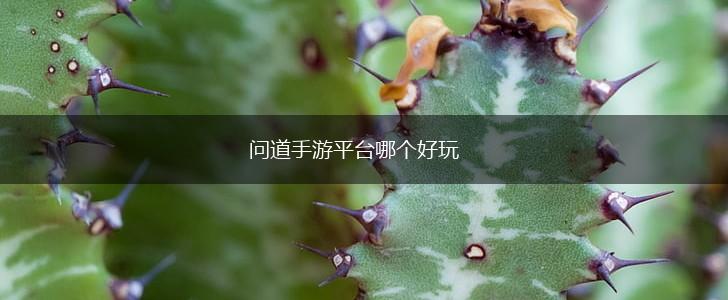 问道手游平台哪个好玩,第1张