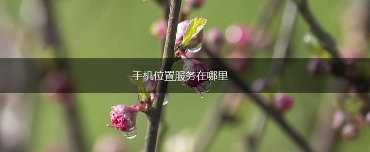 手机位置服务在哪里,第1张
