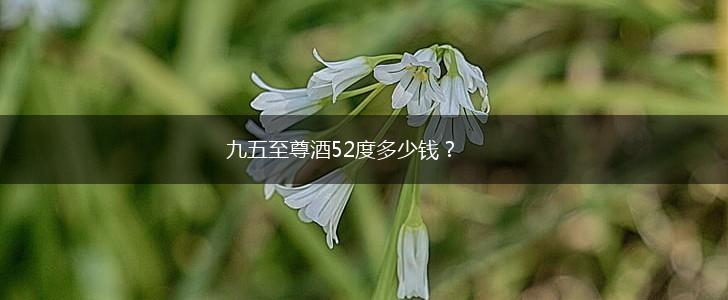 九五至尊酒52度多少钱？,第1张