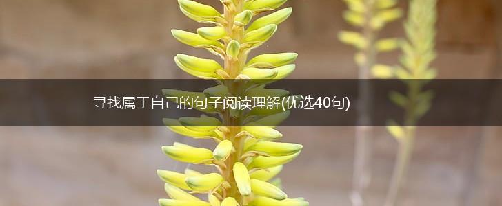 寻找属于自己的句子阅读理解(优选40句),第1张