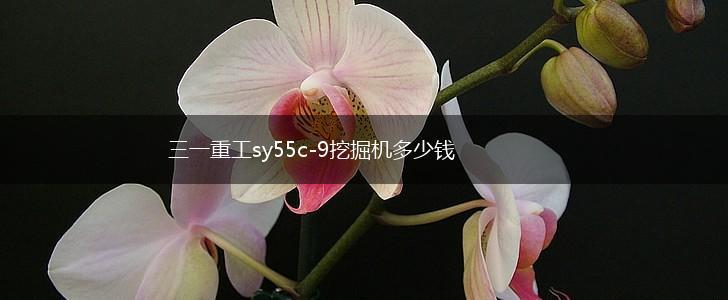 三一重工sy55c-9挖掘机多少钱,第1张