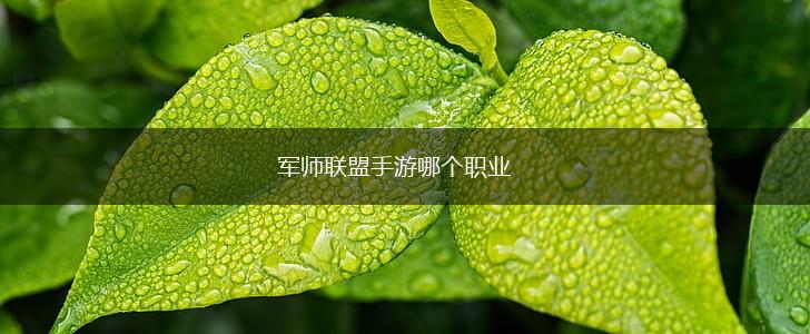 军师联盟手游哪个职业,第1张