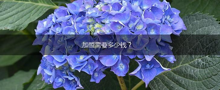 加盟需要多少钱？,第1张
