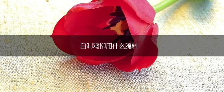 自制鸡柳用什么腌料,第1张