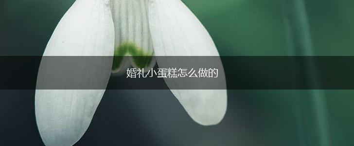 婚礼小蛋糕怎么做的,第1张