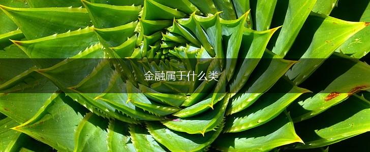 金融属于什么类,第1张