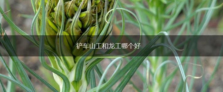 铲车山工和龙工哪个好,第1张