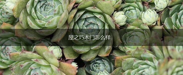屋之巧木门怎么样,第1张
