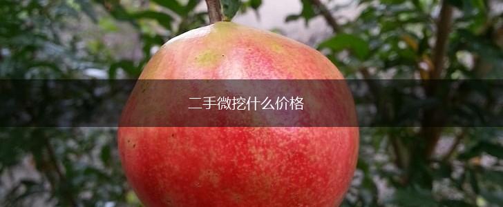 二手微挖什么价格,第1张