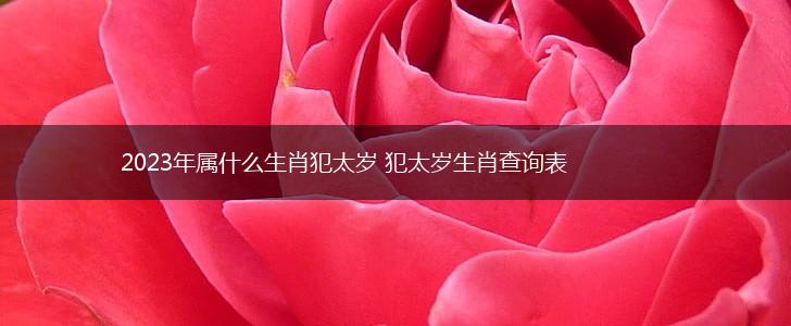 2023年属什么生肖犯太岁 犯太岁生肖查询表,第1张
