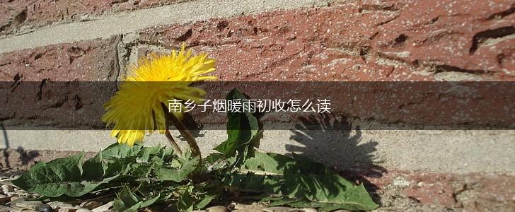 南乡子烟暖雨初收怎么读,第1张