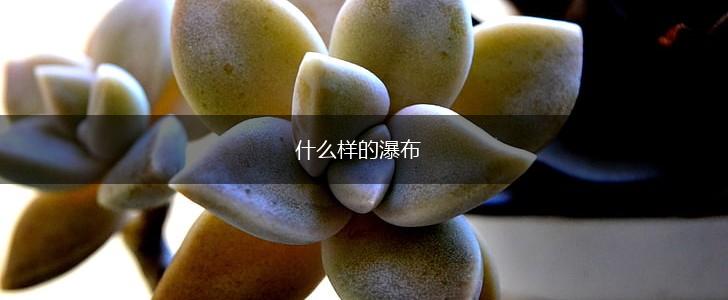 什么样的瀑布,第1张