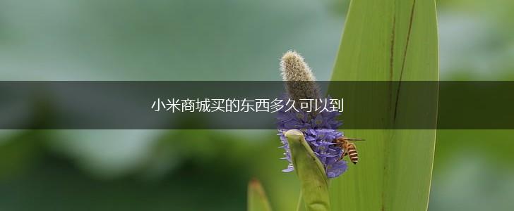 小米商城买的东西多久可以到,第1张