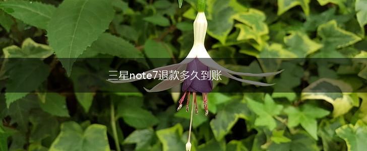 三星note7退款多久到账,第1张