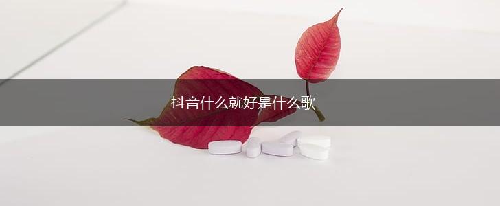 抖音什么就好是什么歌,第1张