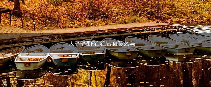 天苍苍野茫茫后面怎么写,第1张