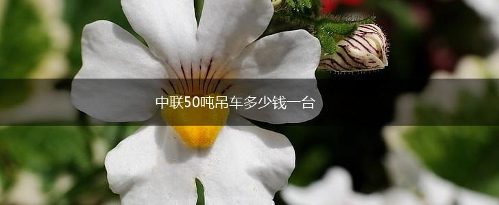 中联50吨吊车多少钱一台,第1张