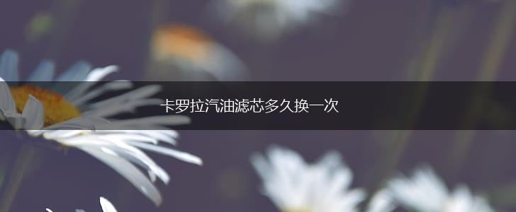 卡罗拉汽油滤芯多久换一次,第1张