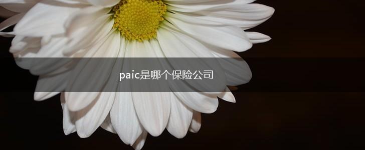 paic是哪个保险公司,第1张