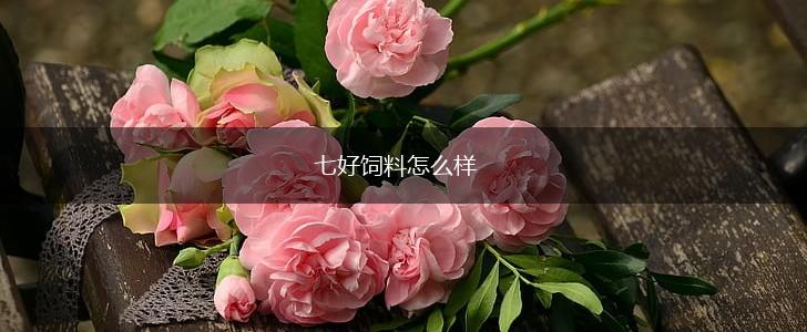 七好饲料怎么样,第1张