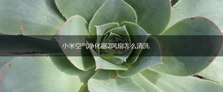 小米空气净化器2风扇怎么清洗,第1张