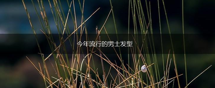 今年流行的男士发型,第1张
